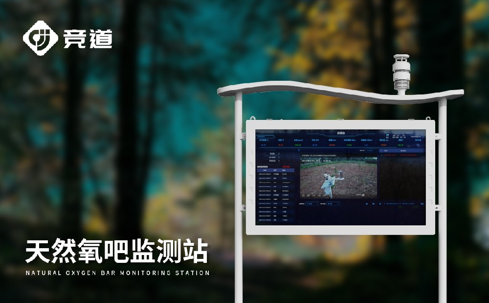 公園負氧離子設備廠家推薦山東競道光電