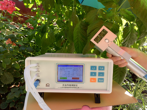 植物氣孔針有何應用？
