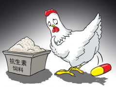 食品抗生素層出不窮，如何檢測？