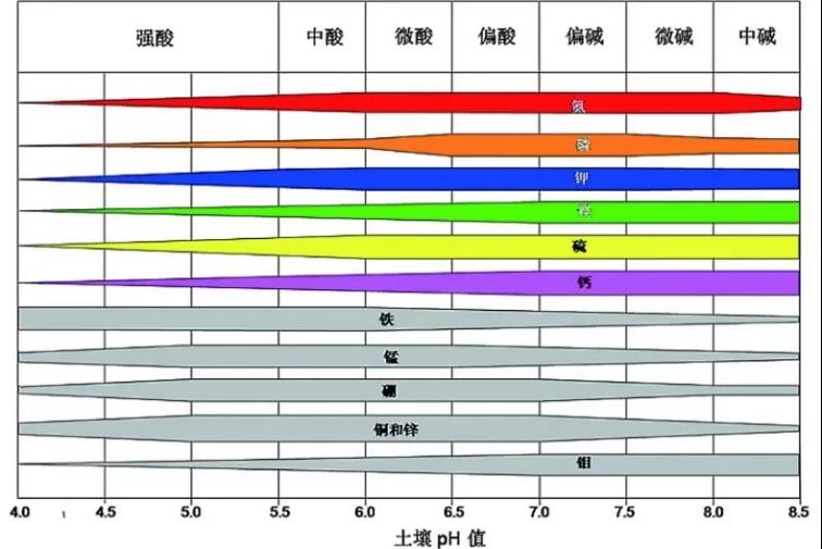 土壤PH速測(cè)儀，快速測(cè)PH